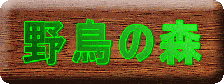 쒹̐X